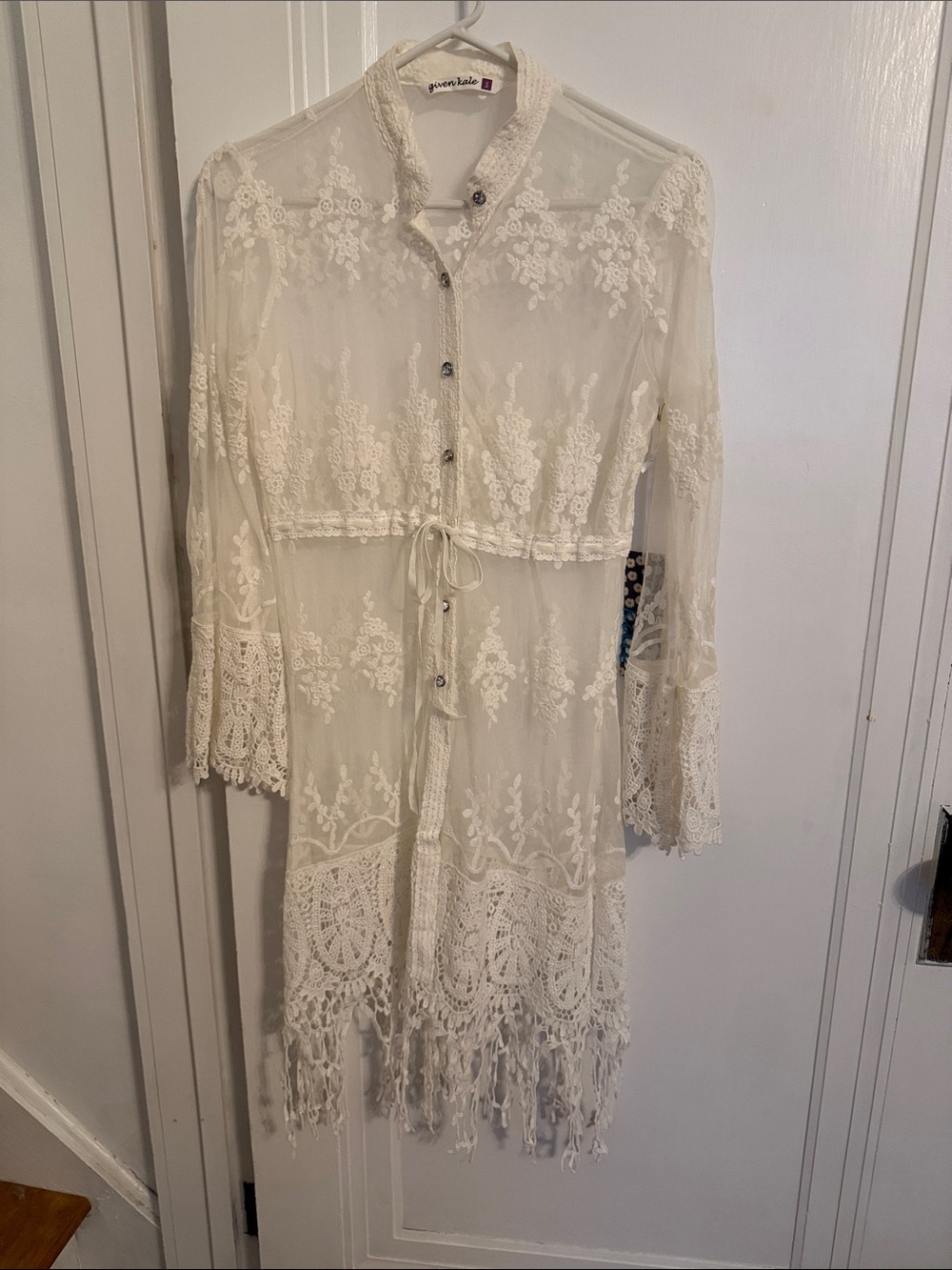 Sheer Ivory Crochet Lace Long Sleeve Midi Dress beach cover up